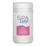 FIlter Cleaner SpaLine, 1 kg